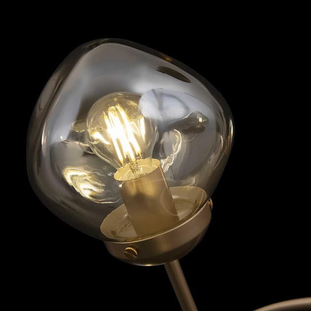 Люстра Freya FR8017PL-06MG Фото № 15