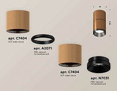 Комплект накладного светильника Ambrella light Techno Spot XS7404041 SCF/PBK кофе песок/черный полированное (C7404, A2071, C7404, N7031) 2