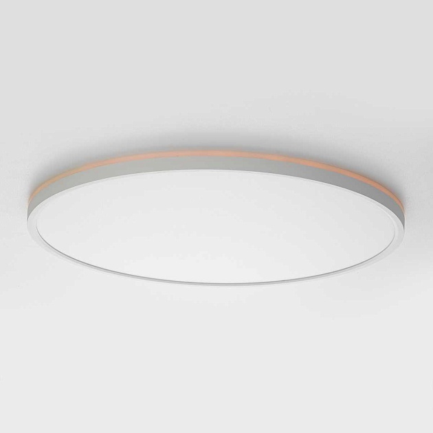 Потолочный светильник Citilux NORMA CL749500 Фото № 26