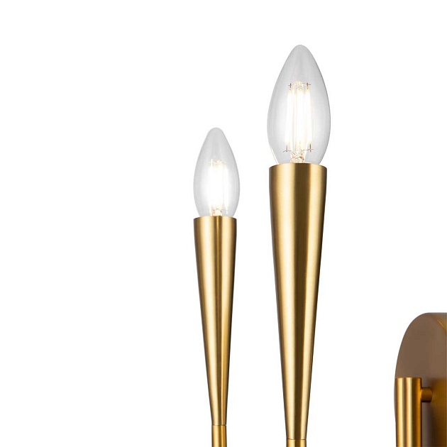 Бра Freya Branches FR5253WL-02BS Фото № 2