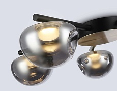 Потолочный светодиодный светильник Ambrella light High Light LH12009 4