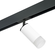 Комплект с трековым светильником Lightstar Rullo (214436+595057+202430) PRO43631