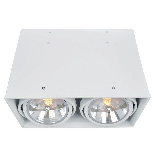Потолочный светильник Arte Lamp Cardani A5936PL-2WH Фото № 1