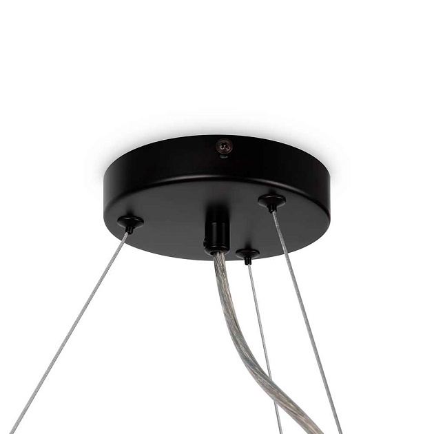 Подвесная люстра Maytoni Dallas MOD545PL-25B изображение 6 Подвесная люстра Maytoni Dallas MOD545PL-25B Фото № 6