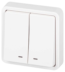 Выключатель ЭРА Эксперт 11-1525-01 двойной с подсветкой IP55 10АХ-250В СУ белый Б0063304