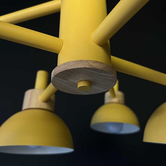 Подвесная люстра Imperium Loft Fanta 101568-26 изображение 13 Подвесная люстра Imperium Loft Fanta 101568-26 Фото № 13