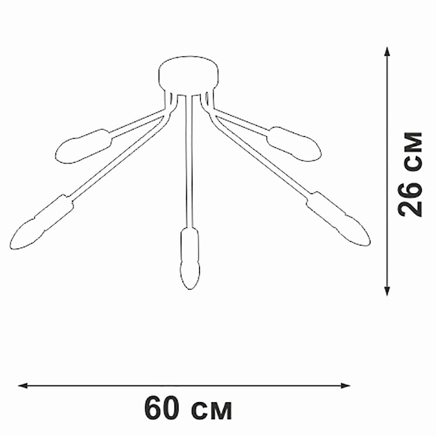 Потолочная люстра Vitaluce V3020-1/5PL Фото № 4