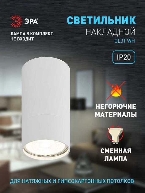 Настенно-потолочный светильник ЭРА OL31 WH Б0056375 изображение 8 Настенно-потолочный светильник ЭРА OL31 WH Б0056375 Фото № 8