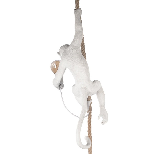 Подвесной светильник Loft IT Monkey 10314P Фото № 7