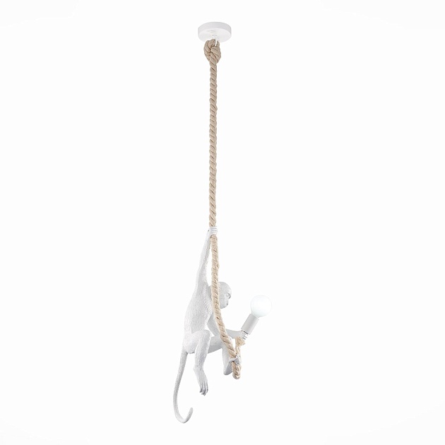 Подвесной светильник Evoluce Tenato SLE115103-01 Фото № 2