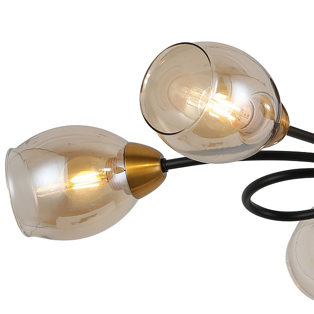 Потолочная люстра Illumico IL8263-6COU-79 BK GD Фото № 2