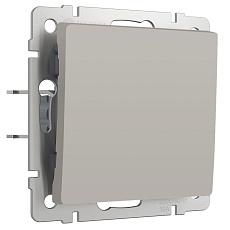 Выключатель одноклавишный проходной (дымчатый) W1212004/ a069449