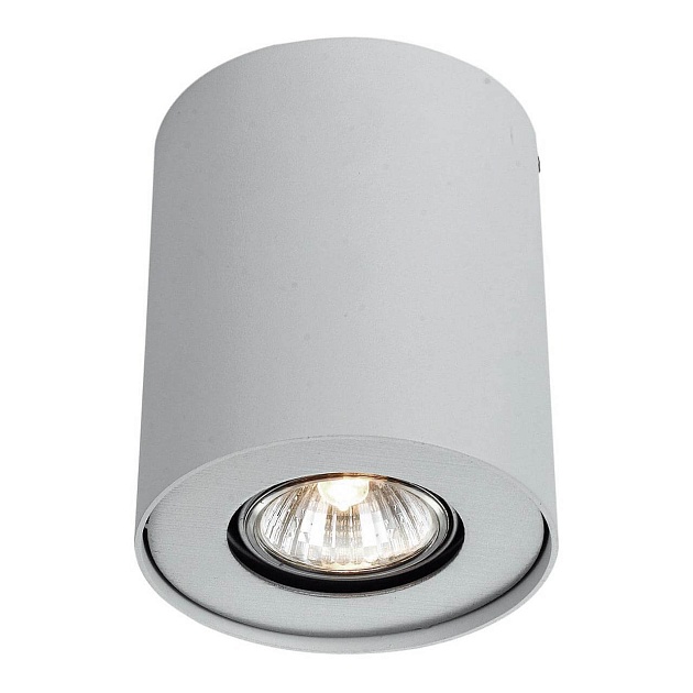 Потолочный светильник Arte Lamp Falcon A5633PL-1WH Фото № 1