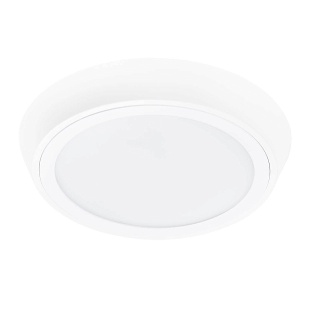 Потолочный светодиодный светильник Lightstar Urbano 216904 Фото № 1