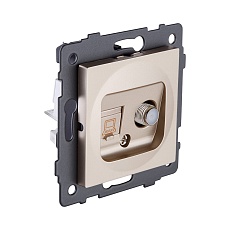 Розетка двойная спутниковая SAT + RJ45 Cat.6, золотой Kollinger REA-014GD для Aspekt, Eleganz, Reflex 1