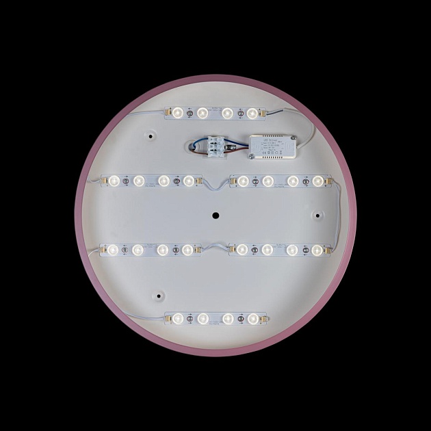 Потолочный светодиодный светильник Loft IT Axel 10003/24 pink фото 4