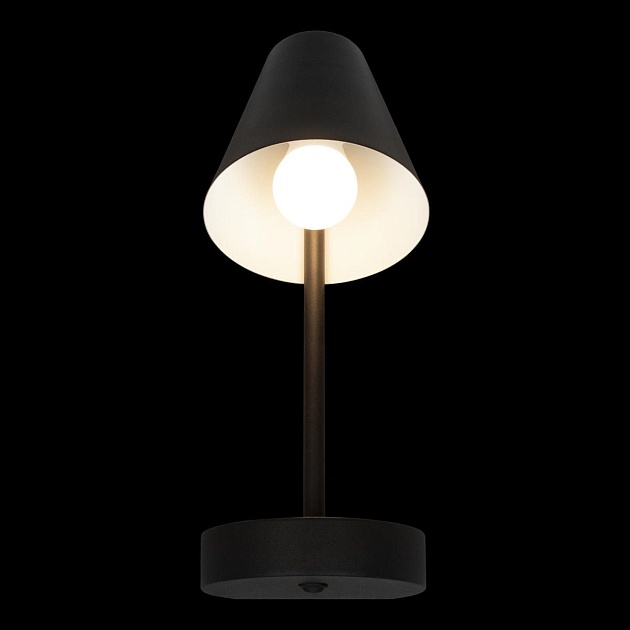 Бра Loft IT Shelf 10216/1W Black Фото № 2