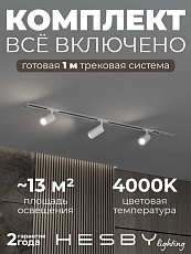 Встраиваемая однофазная трековая система Hesby Lighting Skylite №3 со светильниками HSBL_kompl_S003_VI1W4K