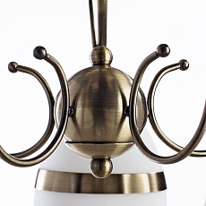 Потолочная люстра Arte Lamp 55 A6192PL-5AB 2