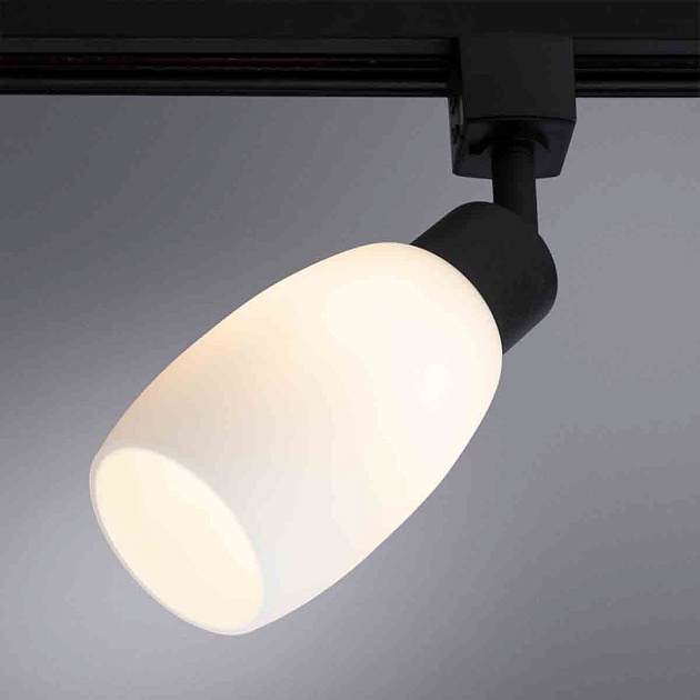 Трековый светильник Arte Lamp Miia A3055PL-1BK фото 5