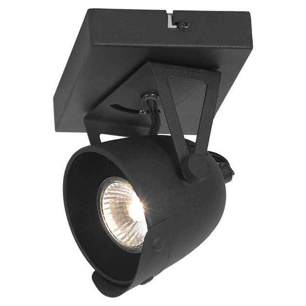 Спот Lussole Loft LSP-9505 Фото № 1