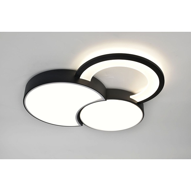 Потолочный светодиодный светильник Rivoli Aliona 6161-702 Б0066452 Фото № 11