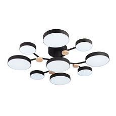 Потолочный светильник LED4U L3201-780 BK 4