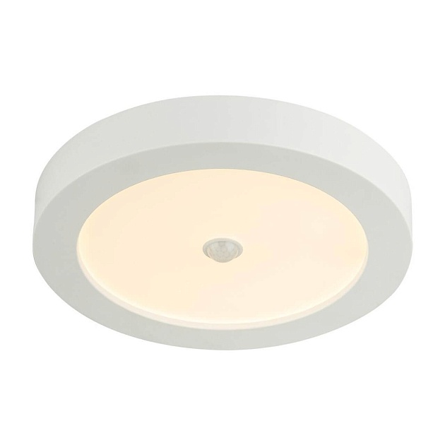 Потолочный светодиодный светильник Globo Paula 41605-18S Фото № 1