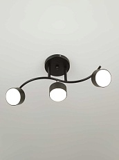 Спот Rivoli Vanessa 7074-703 Б0069922 5