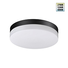 Уличный потолочный светильник Novotech Opal Street 359729
