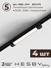 Встраиваемая однофазная трековая система Hesby Lighting Skylite №1 со светильниками HSBL_kompl_S001_VI4B4K 2