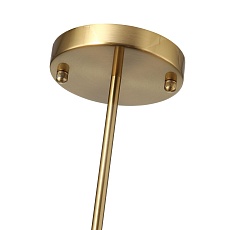 Подвесная люстра ST Luce Veritas SL1404.303.06 2