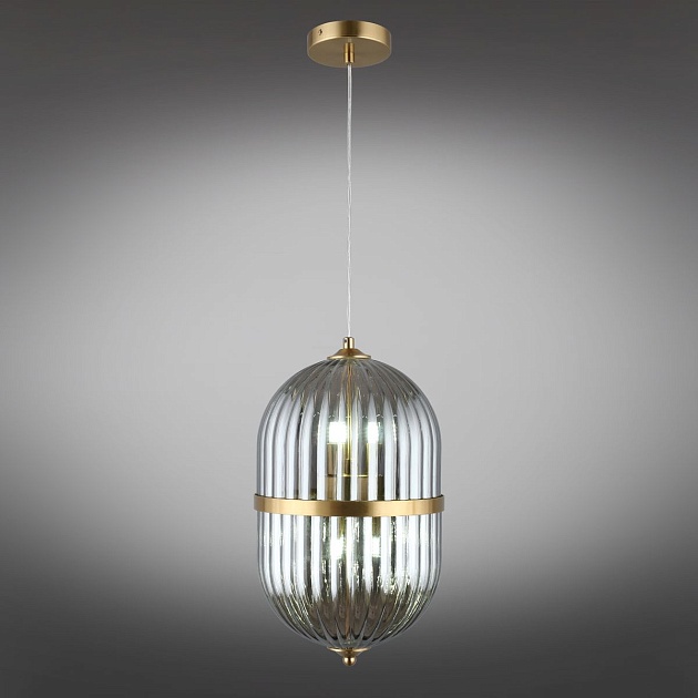 Подвесной светильник Aployt Ludovica APL.860.06.06 Фото № 12