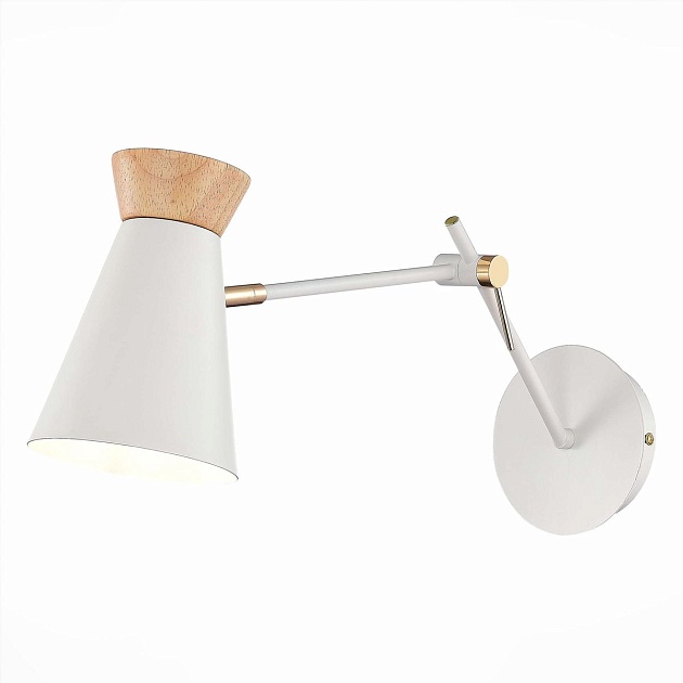 Спот Evoluce Alfeo SLE1252-501-01 Фото № 1