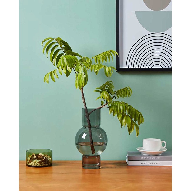 Ваза декоративная Eglo AMPITABE 421231 изображение 2 Ваза декоративная Eglo AMPITABE 421231 Фото № 2