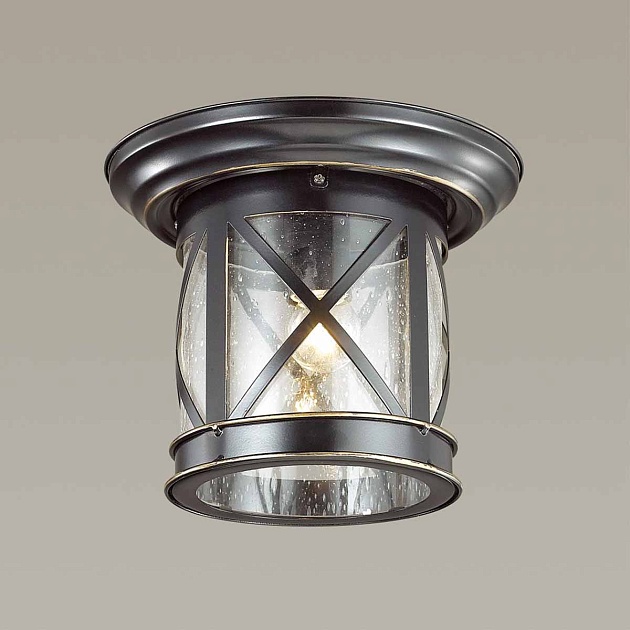 Уличный светильник Odeon Light Nature Sation 4045/1C Фото № 2