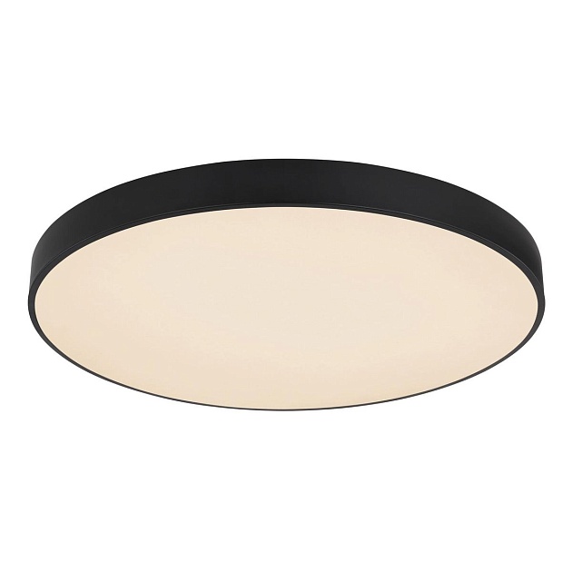 Потолочный светодиодный светильник Globo Leanara 41756-48B Фото № 1