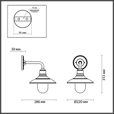 Уличный настенный светильник Odeon Light Nature Campa 4965/1W 4