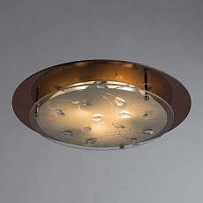 Потолочный светильник Arte Lamp A4043PL-3CC 2