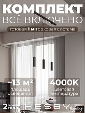 Накладная однофазная трековая система Hesby Lighting Skylite №12 со светильниками HSBL_kompl_S012_NI1B4K