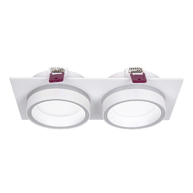 Встраиваемый светильник Favourite 4650-2C Фото № 1