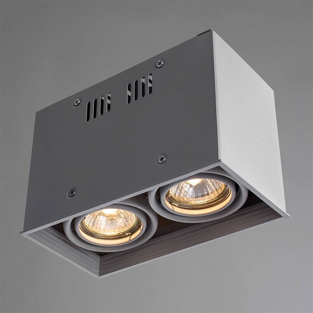 Потолочный светильник Arte Lamp Cardani A5942PL-2WH Фото № 2