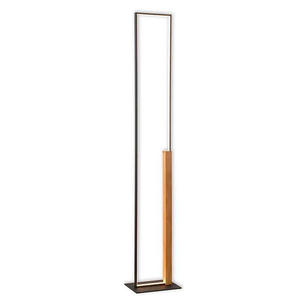 Торшер Lussole LOFT MODESTO LSP-0906 Фото № 1