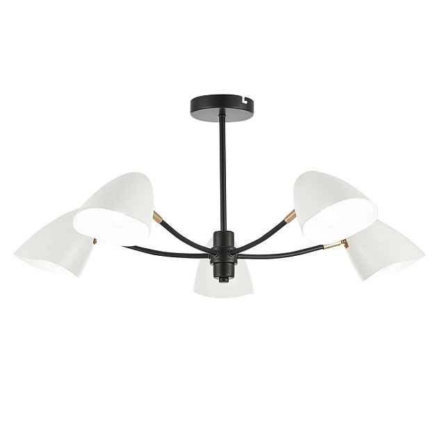 Потолочная люстра Evoluce Satta SLE103602-05 изображение 1 Потолочная люстра Evoluce Satta SLE103602-05 Фото № 1