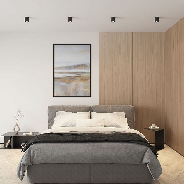 Накладной светильник Denkirs Rodvig DK3090-BK изображение 5 Накладной светильник Denkirs Rodvig DK3090-BK Фото № 5