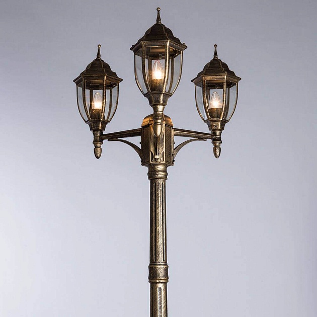 Садово-парковый светильник Arte Lamp Pegasus A3151PA-3BN Фото № 3
