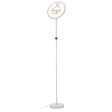 Торшер Citilux Loong CL810030 1