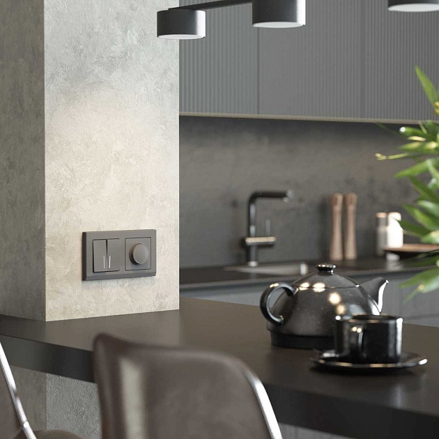 Выключатель Werkel двухклавишный с подсветкой графит W1120164 4690389194368 изображение 3 Выключатель Werkel двухклавишный с подсветкой графит W1120164 4690389194368 Фото № 3