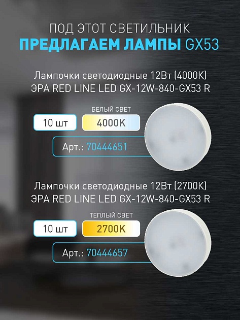 Настенно-потолочный светильник ЭРА OL39 CH Б0056390 изображение 18 Настенно-потолочный светильник ЭРА OL39 CH Б0056390 Фото № 18