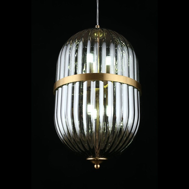 Подвесной светильник Aployt Ludovica APL.860.06.06 Фото № 5